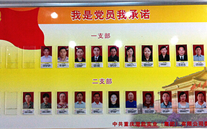 英国上市公司365集团党委开展党员承诺活动